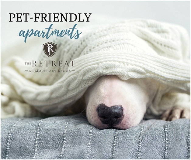 Pet Friendly Apartments - Retreat at Mountain Brook