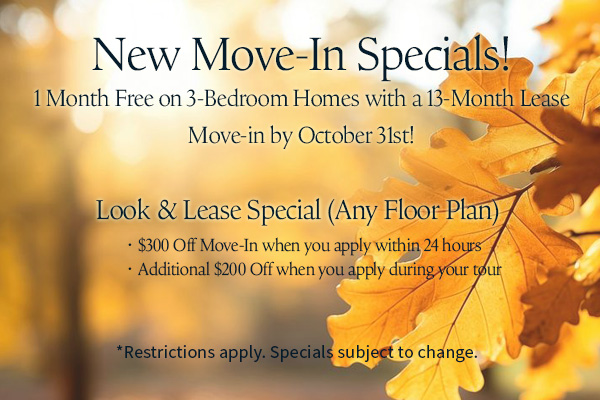 Fall Specials