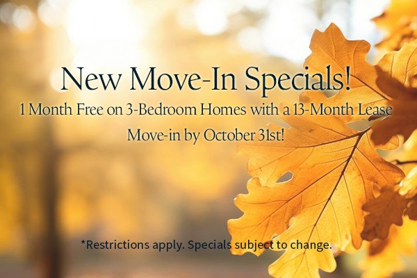 Fall Specials