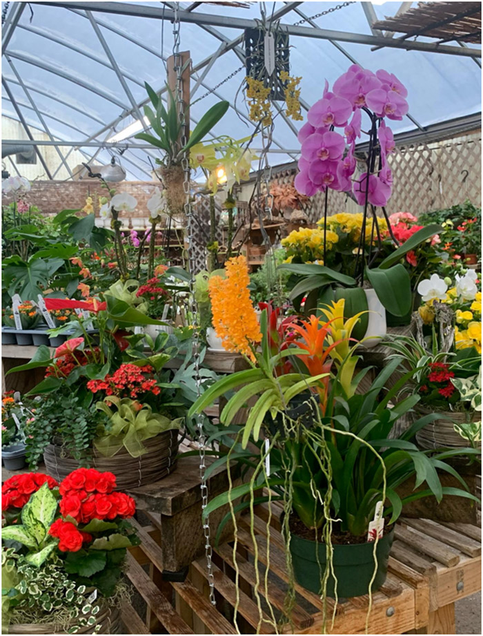 Oak Street Garden Center