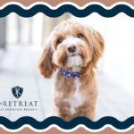Pet-friendly Retreat at Mountain Brook