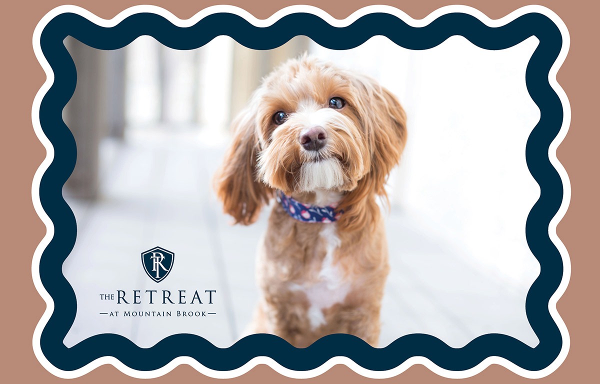 Pet-friendly Retreat at Mountain Brook