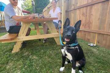 Avondale Brewing Company near Retreat at Mountain Brook is pet-friendly