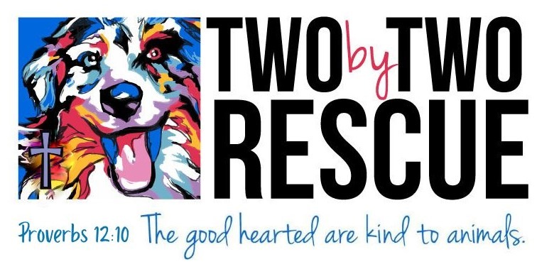 Two by Two Rescue