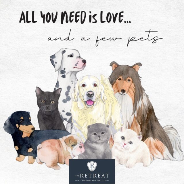 All you need is love… and a few pets 🐾❤️
This Valentine’s Day, we’re celebrating the ones who love us unconditionally — the furry ones who greet us at the door, cuddle up on the couch, and make every day feel like home.
At The Retreat at Mountain Brook, we’re proud to be a pet-friendly community because your pets aren’t just pets… they’re family. 🐶🐱
Take a look at our many amenities, including our pet-friendly policy and dog park, here
https://retreatatmountainbrook.net/amenities/